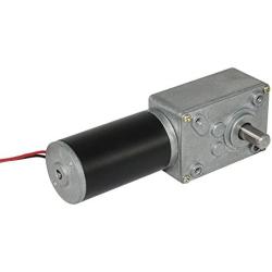 TSINY Small High Torque 12 Volt Reversible 10 RPM DC Worm Gear Motor for BBQ Drive Replacement