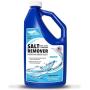 Seaworks Boat Salt Remover Engine and Motor Flush