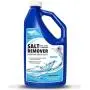 Seaworks Boat Salt Remover Engine and Motor Flush