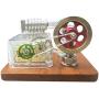 Teerwere Stirling Engine Motor DIY Metal Single Cylinder Stirling Engine Model Power Generator Micro External Combustion Engine Stem Model (Color : Silver, Size : One Size)
