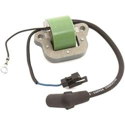 PARTSRUN 18-5196 Marine Ignition Coil for Johnson/Evinrude Outboard Motor BRP 9.9 15 40 HP 1974-1976 502880, 581407, 72020, 9-23101,ZF301