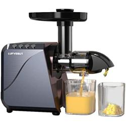Cold Press Juicer Extractor with Overheating Protection, Masticating Slow Juicer for Fruits and Vegetables, Easy to Assemble and Clean, Quiet Motor & Reverse Function Electric Juicer Extractor