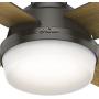 Hunter Dempsey Indoor Low Profile Ceiling Fan with LED Light and Remote Control