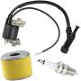 Ignition Coil For Honda GX120 GX160 GX200 Engine Generator Rototiller 4589693 30500-ZE1-073 with Spark Plug Air Filter by TOPEMAI