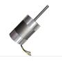 Outboard Drive Brushless Motor Dc 36v 100w
