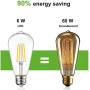 Ohniyou 20 Caged Ceiling Fans and Vintage LED Edison Bulbs,Rustic Farmhouse Ceiling Fan with Lights Remote Control, Reversible Motor, 3 Speeds, 4 Hours Timing