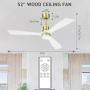 CLUGOJ White Ceiling Fan with Dimmable LED Lights 52