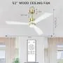 CLUGOJ White Ceiling Fan with Dimmable LED Lights 52