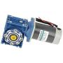 Crazy Sales DC 12V/24V 120W RV40 SelfLocking Worm Gear Motor Speed Reducer AdjusMotor (12V)