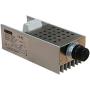 Fansipro 10000W AC110-220V SCR Voltage Regulator Motor Speed Controller Dimmer Thermostat, 130 x 60 x 47 MM, Silver