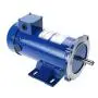 LuckyHigh Permanent Magnet DC Motor 3/4 HP Electric Motor 1750 RPM 90V with 2 Carbon Brushes