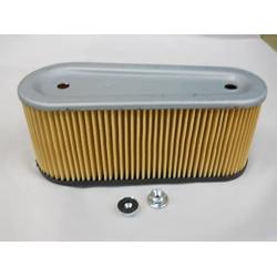 Tecumseh 36356 Air Filter