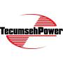 Tecumseh 631028A Carburetor Float Bowl Gasket, Pack of 2
