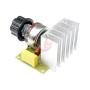 3800W Speed Controller AC 220V Smart Home Light Control Dimmer Switch Voltage Regulator Temperature Control for Motor Light