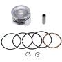 Cancanle 39mm Piston Pin Rings Kit for Honda GX35 GX35NT HHT35S UMK35 Gasoline 4-Stroke Engine Motor Brush Cutter Trimmer String Trimmer
