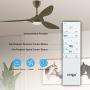 Ventilateur de plafond Reiga 52 pouces avec kit d'éclairage LED, télécommande, pales modernes, moteur réversible, 6 vitesses, interrupteur de 3 températures de couleur (vert olive vintage) Ventilateur de plafond Reiga 52 pouces avec kit d'éclairage LED, télécommande, pales modernes, moteur réversible, 6 vitesses, interrupteur de 3 températures de couleur (vert olive vintage)