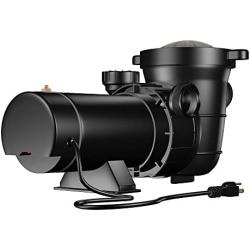 Blue Wave NE6181 Tidal Wave 2-Speed Replacement Pump for Above Ground Pool, 1 HP,Black
