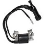 HIFROM Replacement Ignition Coil with Spark Plug Compatible with Harbor Freight Predator 212cc 6.5HP OHV Horizontal Engine 69730 69727 Go Kart HIFROM Replacement Ignition Coil with Spark Plug Compatible with Harbor Freight Predator 212cc 6.5HP OHV Horizontal Engine 69730 69727 Go Kart
