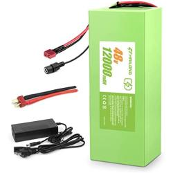 H HAILONG Ebike Battery 48V 20000mAh Ebike Battery/36V 8Ah 12Ah 48V 12Ah Electric Bike Lithium Ion Battery with 2Ah Charger for 350W 450W 750W 500W 800W 1000W Electric Bicycle Motor…