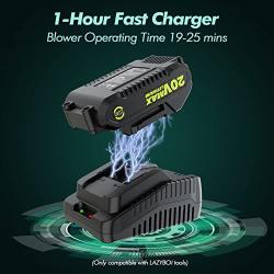 LAZYBOI Cordless Leaf Blower with 2 Batteries