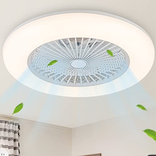 Ceiling Fans with Lights Remote Control, 22
