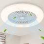 Ceiling Fans with Lights Remote Control, 22
