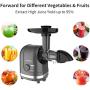 Masticating Juicer, Beet Carrot Juicer Extractor, Cold Press Juicer with Intelligent Control Speed, Slow Juicer Quiet Motor, Safety Small Feeder Chute for Fruits & Vegetables,Easy to Clean Juicer