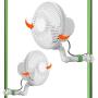 LINCHOC GARDEN Grow Tent Oscillating Fan,6 inch Copper Wire Motor Pole Mount Monkey Fan for Grow Tents with 2 Speed 120v 25w Clip On (2 Pack)