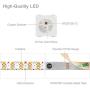 WS2812B ECO LED Strip,BTF-LIGHTING Chasing Effects 5050SMD Individually Addressable 3.3FT 100 (2x50)Pixels/m Flexible White FPCB Dream Color IP65 Waterproof for Bedroom DIY Projectsetc DC5V