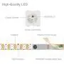 WS2812B ECO LED Strip,BTF-LIGHTING Chasing Effects 5050SMD Individually Addressable 3.3FT 100 (2x50)Pixels/m Flexible White FPCB Dream Color IP65 Waterproof for Bedroom DIY Projectsetc DC5V