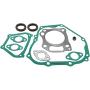 JINFANNIBI Complete Engine Gasket and Seal Kit Compatible for Golf Cart Motor Engine 357CC Rebuild Kit Yamaha G21A G22A G23A G27A G28A YDRA 2000-2013