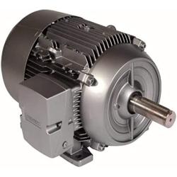 Siemens 1LE21211AA114AA3 1-HP 3600 Rpm 230/460-volt 143t General Purpose Electric Motor Nema Premium Efficient Aluminum Frame, Aluminum Rotor