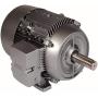 Siemens 1LE21211AA114AA3 1-HP 3600 Rpm 230/460-volt 143t General Purpose Electric Motor Nema Premium Efficient Aluminum Frame, Aluminum Rotor