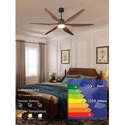 Amico Ceiling Fan with Lights, 66