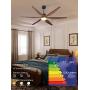 Amico Ceiling Fan with Lights, 66
