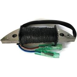 Boat Motor T15-04000200 Charge Coil Assy for Parsun Makara Outboard T9.9 T15 HP 2-stroke Engine
