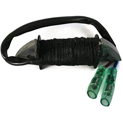 Boat Motor T15-04000200 Charge Coil Assy for Parsun Makara Outboard T9.9 T15 HP 2-stroke Engine