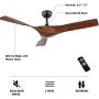 WINGBO 52