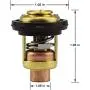 YIXIN 688-12411 6H3-12411 6E5-12411 T15-04000010 Thermostat Fit for Yamaha Parsun Makara Marine 2-Stroke 3HP 15HP 25HP 30HP 40HP - 250HP Outboard Motor