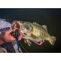 Berkley PowerBait Power Worm