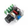 DUTTY 2000W AC Motor Speed Controller 50-220V 2 Adjustable Motor Speed Controller Voltage Regulator