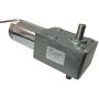 BEMONOC DC 24V High-torque 130kg.cm Worm Gearbox Motor Low Speed 20RPM Out Double Shaft 10mm