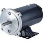 DB Electrical LPL0097 NEW MOTOR FOR LEESON PACIFIC 12V CANIMEX SPREADERS 120Z402H 120Z402H1 120Z402H2 108046 C4D17NK10B C4D17NK68 C4D17NK6B C4D17NK73 BA-3630-700066 4BB-01601 4BB-1601 BA-3630-70066056