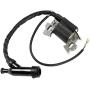 Ignition Coil For Honda GX120 GX160 GX200 Engine Generator Rototiller 4589693 30500-ZE1-073 with Spark Plug Air Filter by TOPEMAI