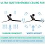 Indoor 3-Blade Ceiling Fan with LED Lights, 60
