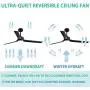 Indoor 3-Blade Ceiling Fan with LED Lights, 60
