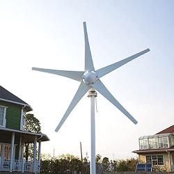 Coldwind Wind Generator Kit 500W 12V 24v 48V Wind Turbine Motor 5 Blades with Charge Controller for Home Garden-White 500w 12v