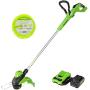 Greenworks 24V 13