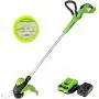 Greenworks 24V 13