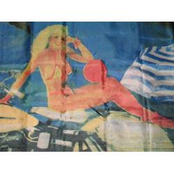 Trade Winds 3x5 Blonde Girl on Bike Motorcycle Motor Cycle Flag 3x5 Banner Grommets Premium Fade Resistant